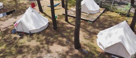 Un terrain de camping où de nombreuses tentes blanches sont installées au milieu des arbres.