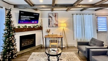 Smart TV, fireplace, books
