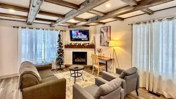 Smart TV, fireplace, books