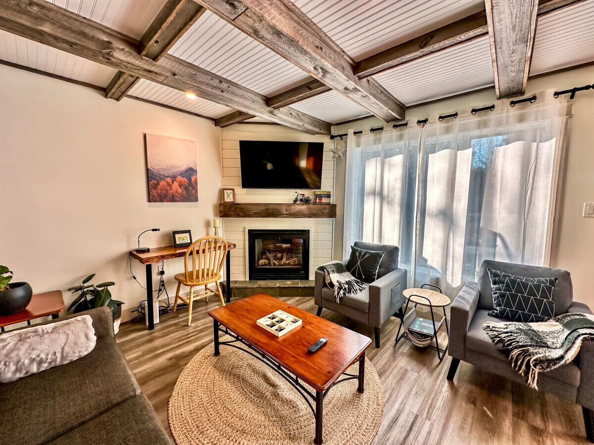 Smart TV, fireplace, books