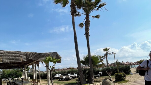 A wooden deck with outdoor furniture, palm trees, and a covered seating area. - La Coffa (Noto)