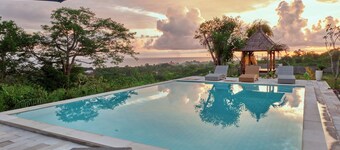 พลูเมเรีย NP