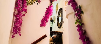 Literie haut de gamme - matelas hÎteliers 5 étoiles (canapé inclus)