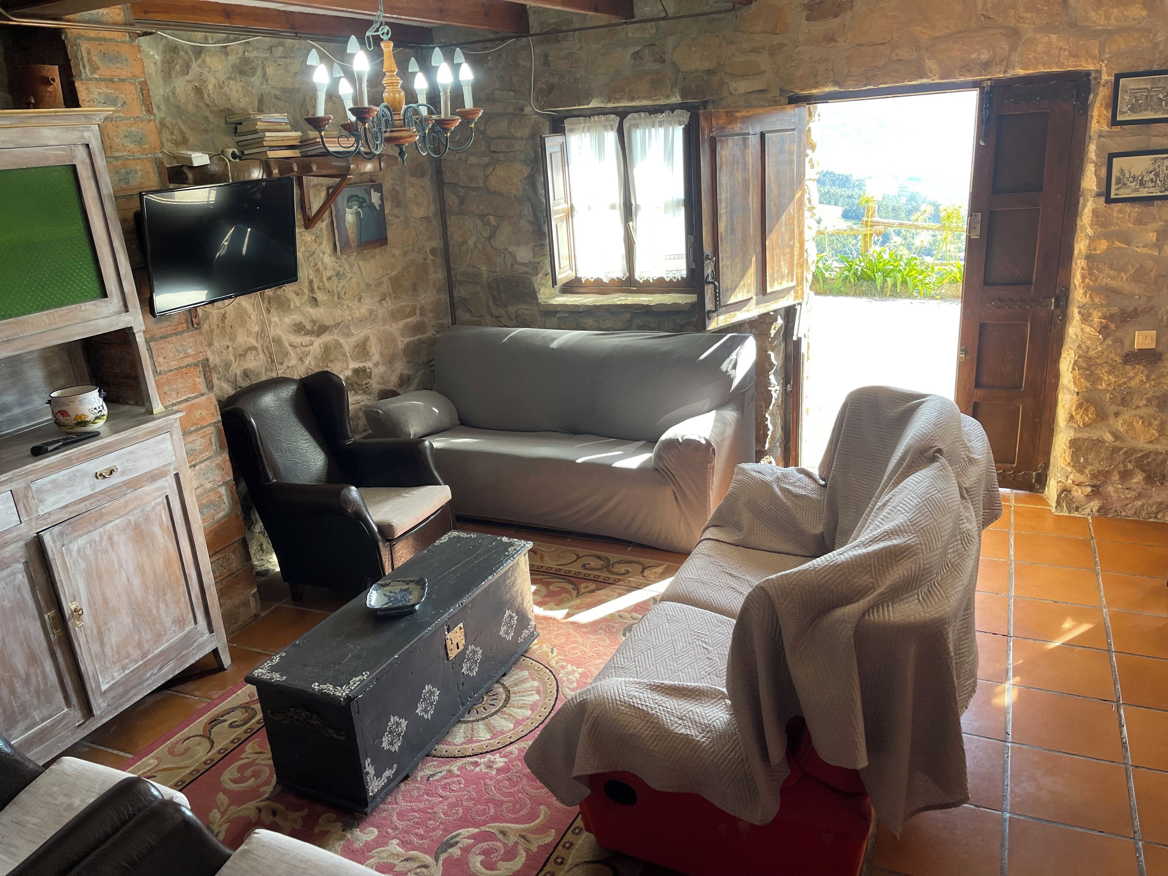 Una televisión, una chimenea, libros