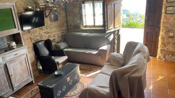 Una televisión, una chimenea, libros