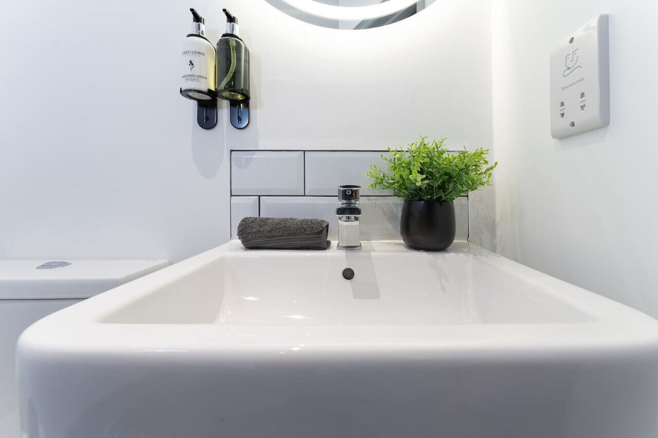 Un baño con un lavamanos blanco, dos dispensadores en la pared, una toalla y una planta en maceta.