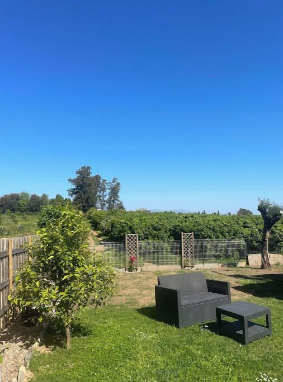 Imagem do perfil do anfitrião