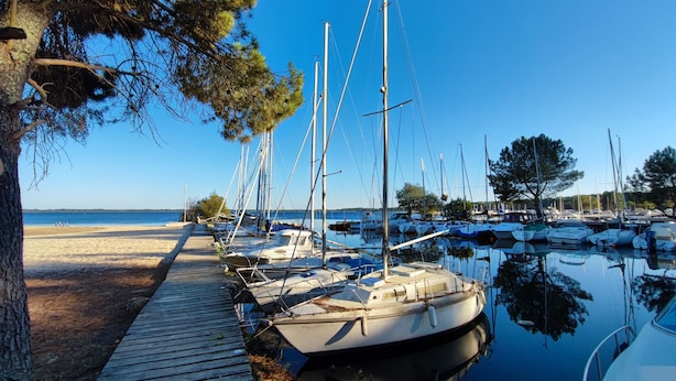 A marina with several boats docked, a wooden walkway, and a beach in the background.
