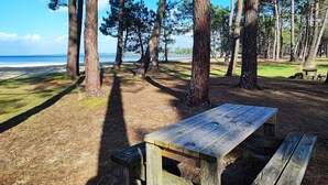 A wooden picnic table in a forested area with a view of the beach.