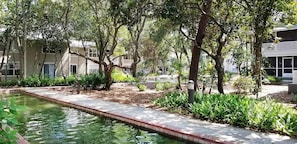 Condo, Multiple Beds (Hidden Dunes Beach Cottage 162) | Property grounds - Hidden Dunes Beach Cottage 162 (Miramar Beach)