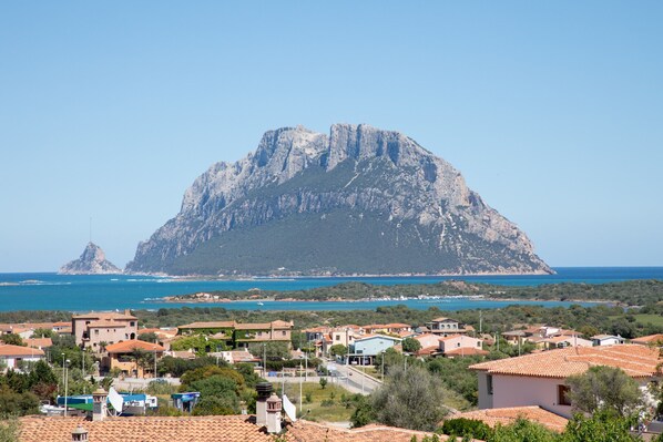 Sekalaista