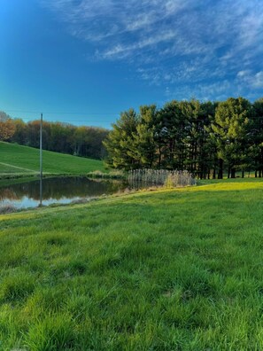Unclassified image, 3 of 8, button - Secluded house built into the earth. Wildlife, pet friendly, fishing, hot tub, Wi-Fi! (Magnolia)