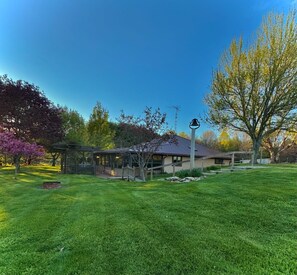 Niet-geclassificeerde afbeelding, 3 van 8, knop