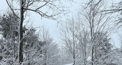 The Nest Is the perfect size for a small family