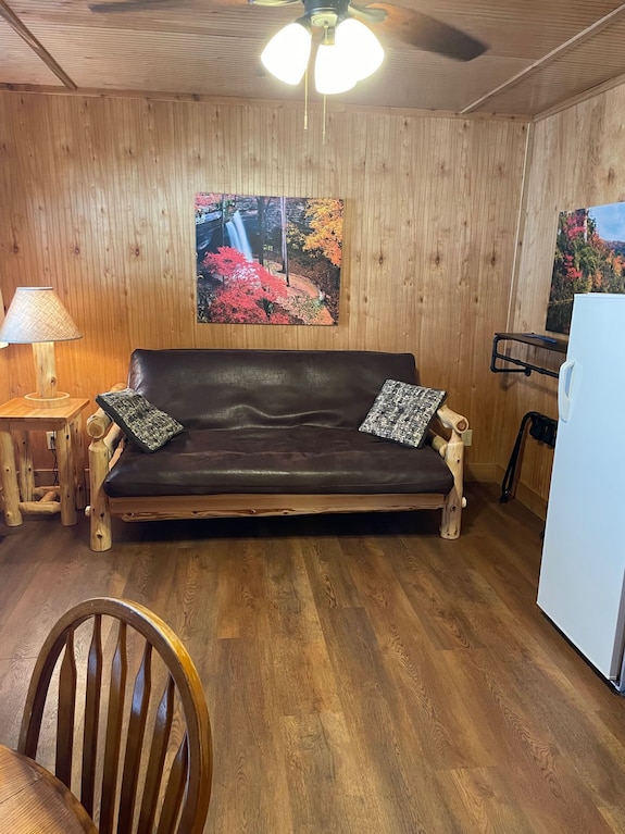 Buffalo River Cabin Has 1 Bedroom With Queen Size Bed, 1 Twin Bunk Bed In Hallway, 1 Futon In Main L - Missouri