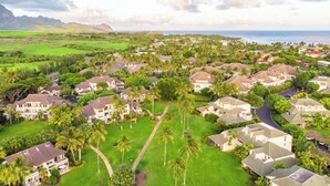 A residential area with houses, palm trees, and a view of the ocean.
