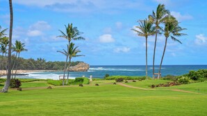 A golf course with a view of the ocean and palm trees.