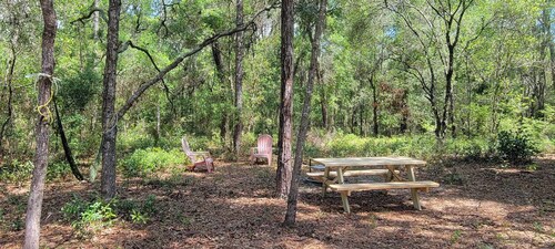 Fanning and Manatee Springs Exclusive Primitive Campground 