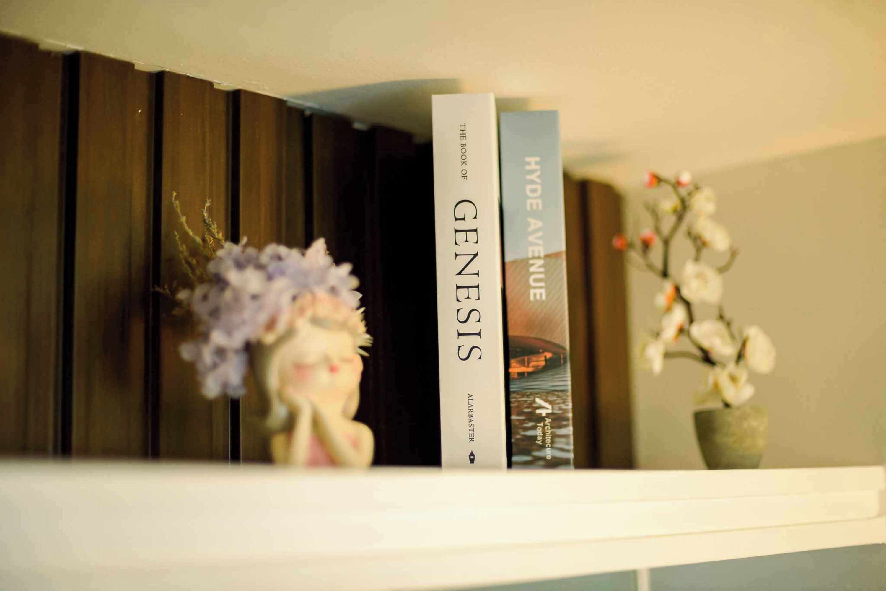 Une bibliothèque contenant des livres intitulés « Le Livre de la Genèse » et « Hyde Avenue ».