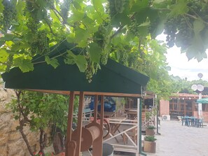A covered outdoor seating area with a pergola, surrounded by grapevines and a stone wall. - Hotel Dimasi (Kutaisi)