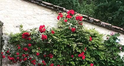 Spacious, rustic charm for 10, with pool, in Dordogne Aquitaine