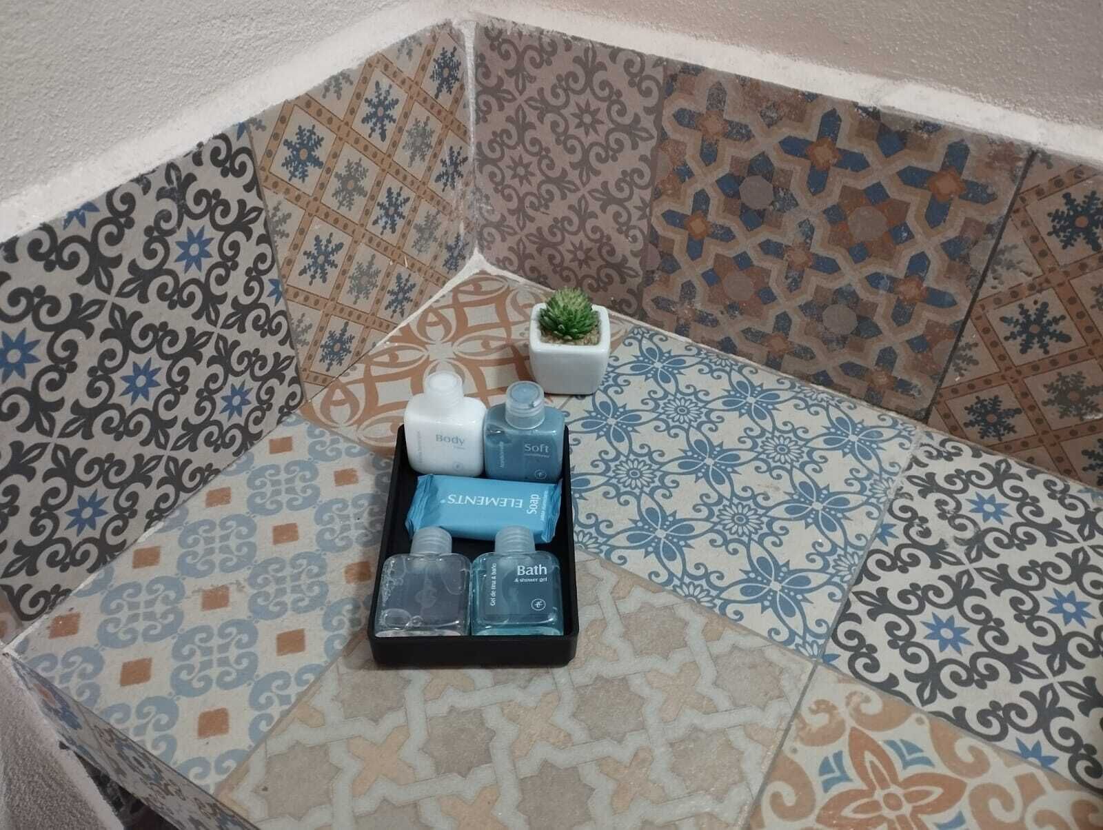 A corner of a room with patterned tiles, a small potted plant, and a tray with toiletries including body wash, shampoo, and bath gel.