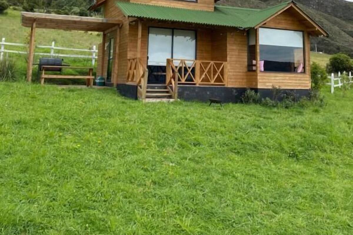 A wooden cabin with a green roof, large windows, and a covered porch.