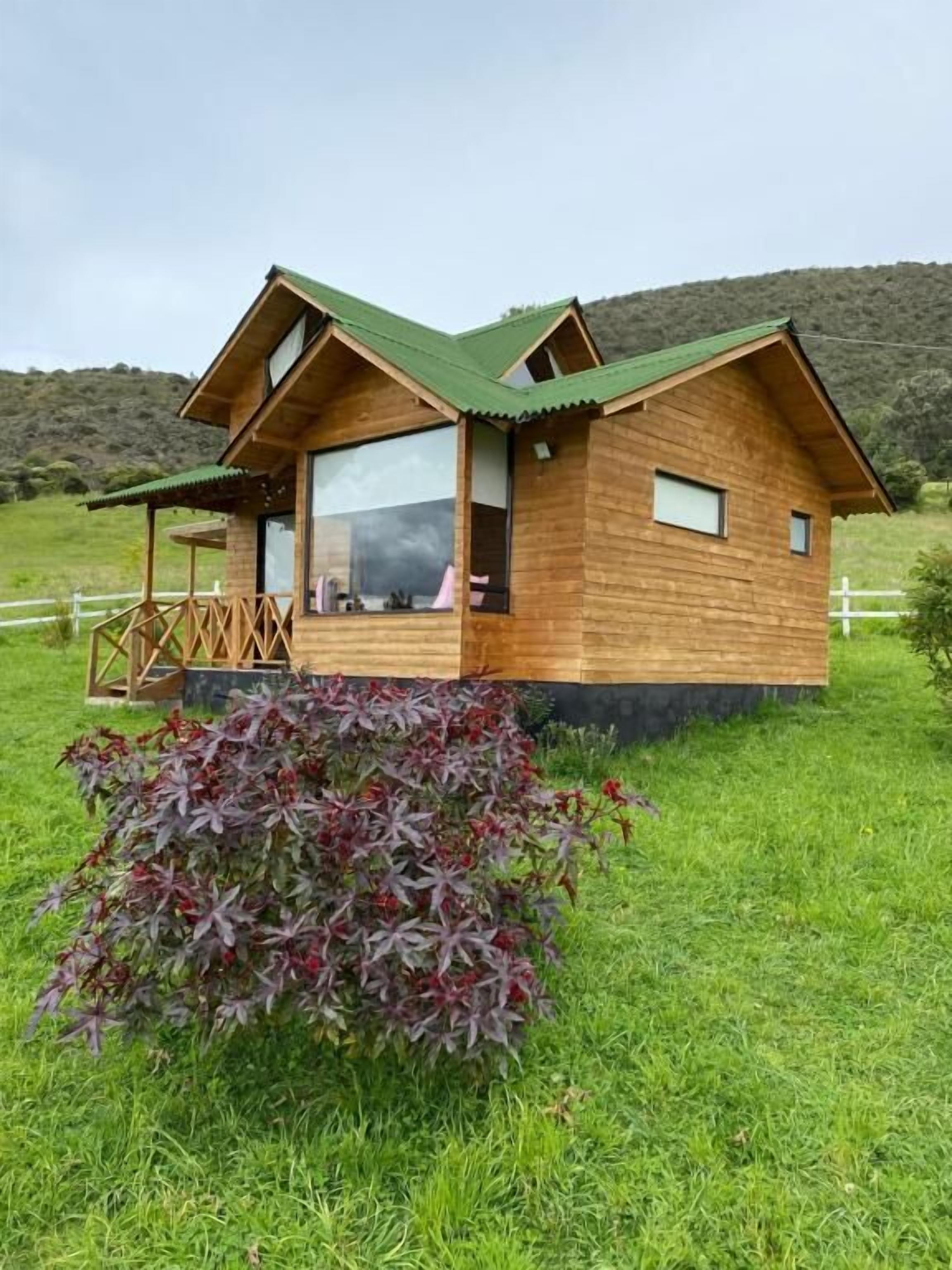 Une cabane en bois avec un toit vert, de grandes fenêtres et une véranda.