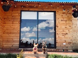 Una cabaña de madera con un amplio ventanal corredera que refleja el cielo y las nubes.