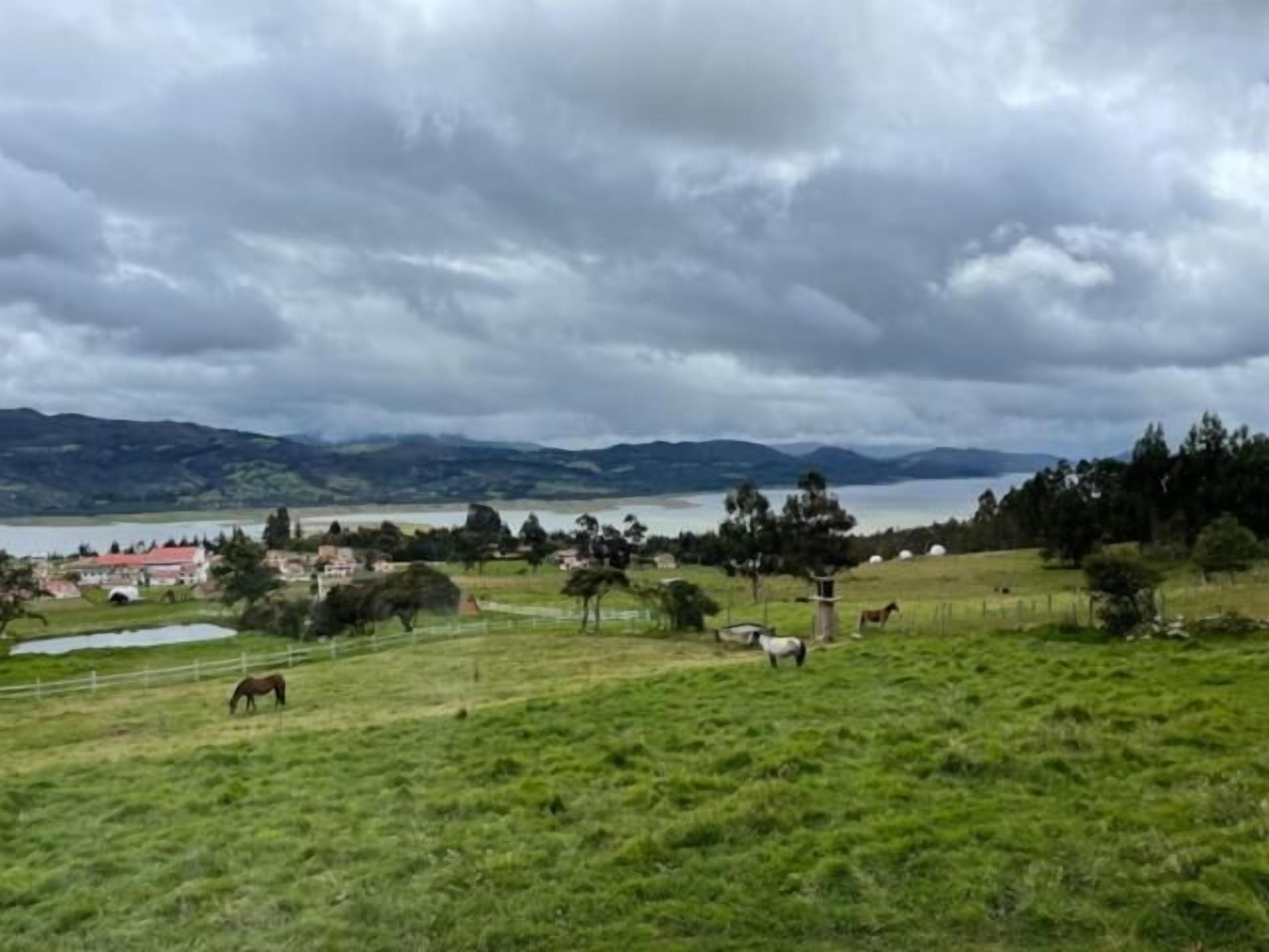 Een landelijk landschap met een meer, bergen en een klein dorp.