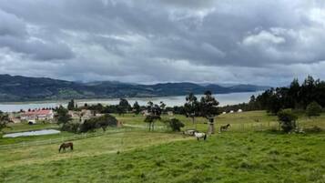 Een landelijk landschap met een meer, bergen en een klein dorp.