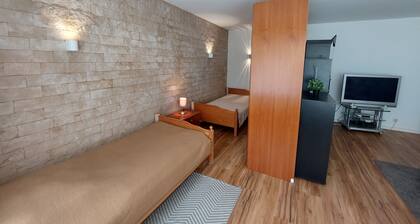 Ruhige Großstadtoase mit großem Garten und Terrasse (Bad Vilbel bei Frankfurt/M)