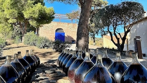 A row of empty wine bottles lined up on a stone surface outdoors. - Vrbo Property
(Laroque-des-Albères)