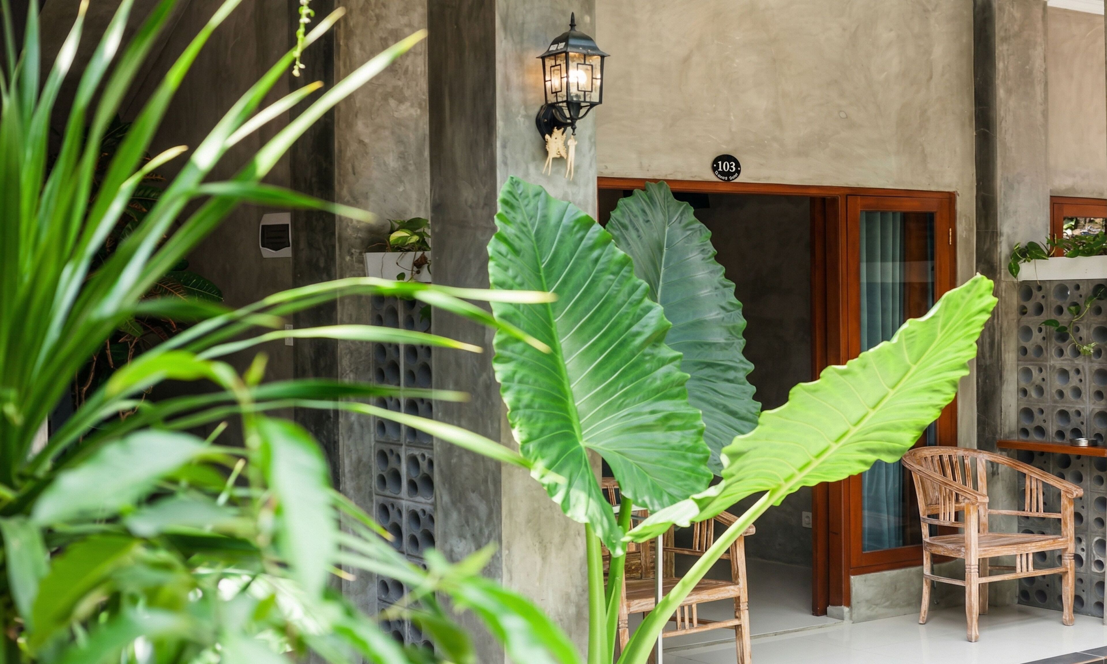 Una silla de madera, una planta en maceta y una puerta con un número.