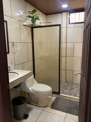 Shower, towels, soap, toilet paper