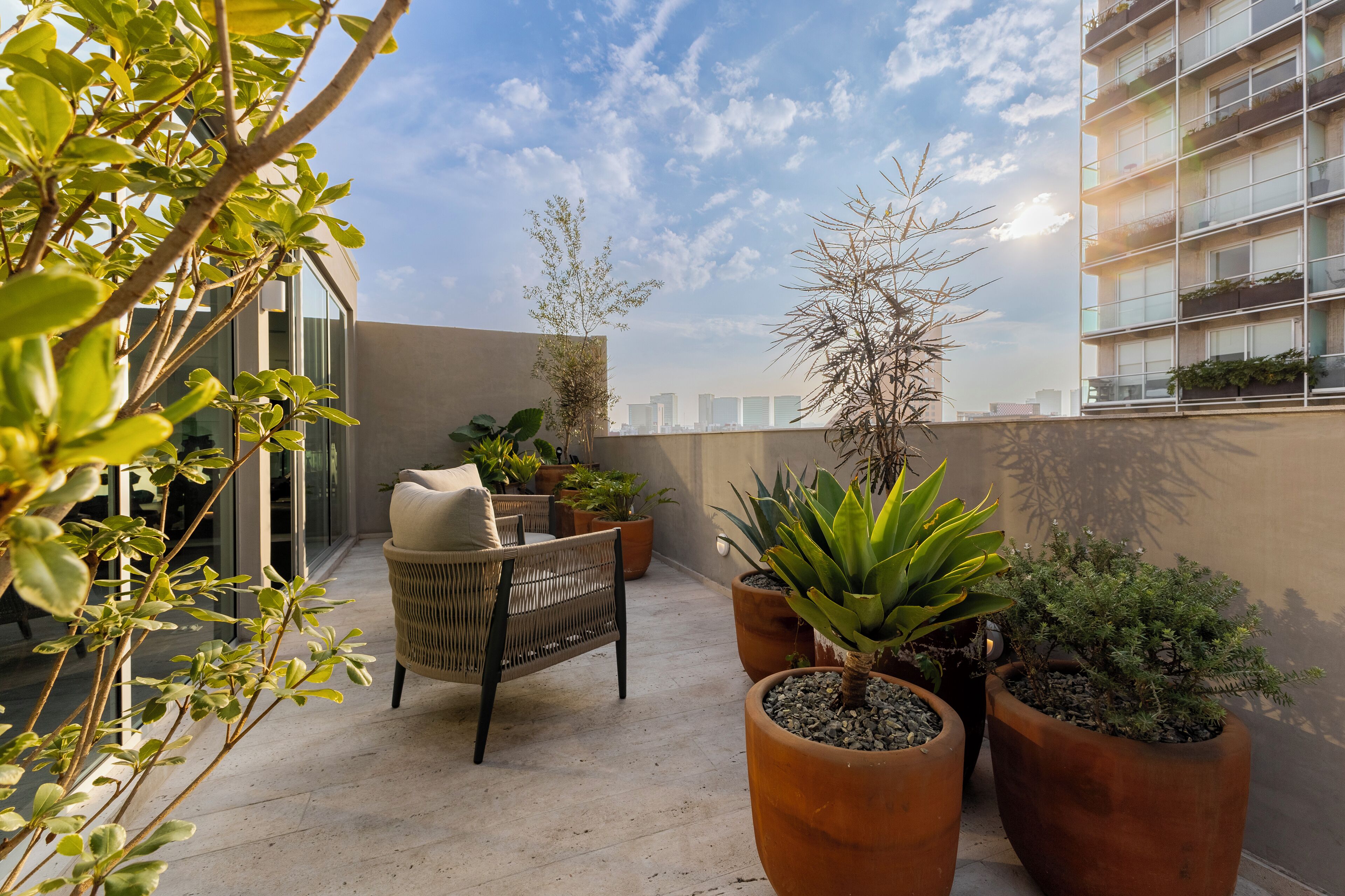 A rooftop terrace with potted plants, a wicker chair, and a view of the city skyline.