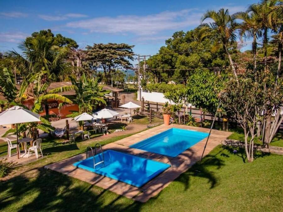 Un patio trasero con una piscina rectangular, rodeado de palmeras y un césped.