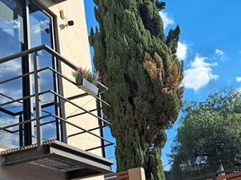Balcón
