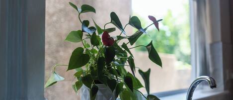 A potted plant on a windowsill with a view of greenery outside.