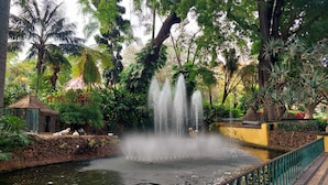 Un jardin paisible avec une fontaine, entouré d’une végétation luxuriante et d’un mur de pierre.