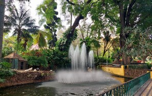 Apartment | 1 bedroom, Internet - Apartamento Vista Pontinha 606 (Funchal)