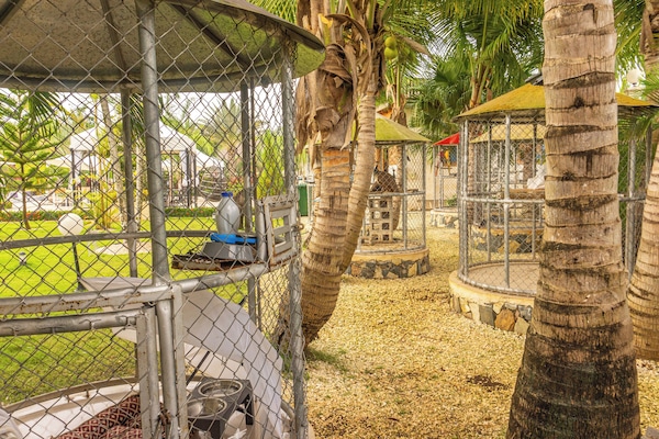 Jardín