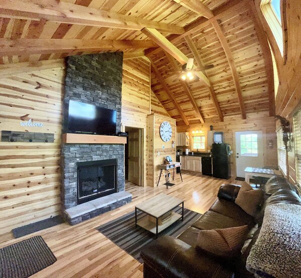 智能电视、壁炉、DVD 播放器