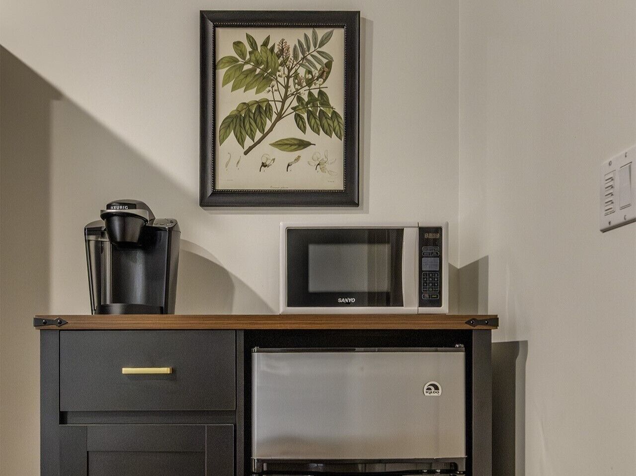 Signature Courtyard King (Pet Friendly) | Private kitchen | Coffee/tea maker, mini-fridge, microwave, electric kettle
