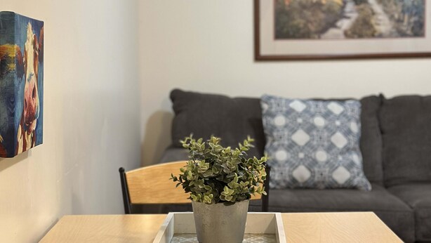 A dining area with a table, chairs, a potted plant, a framed picture on the wall, and a sofa with cushions. - Cute Downtown APT Quick Safe Walk to PPG Arena (Pittsburgh)