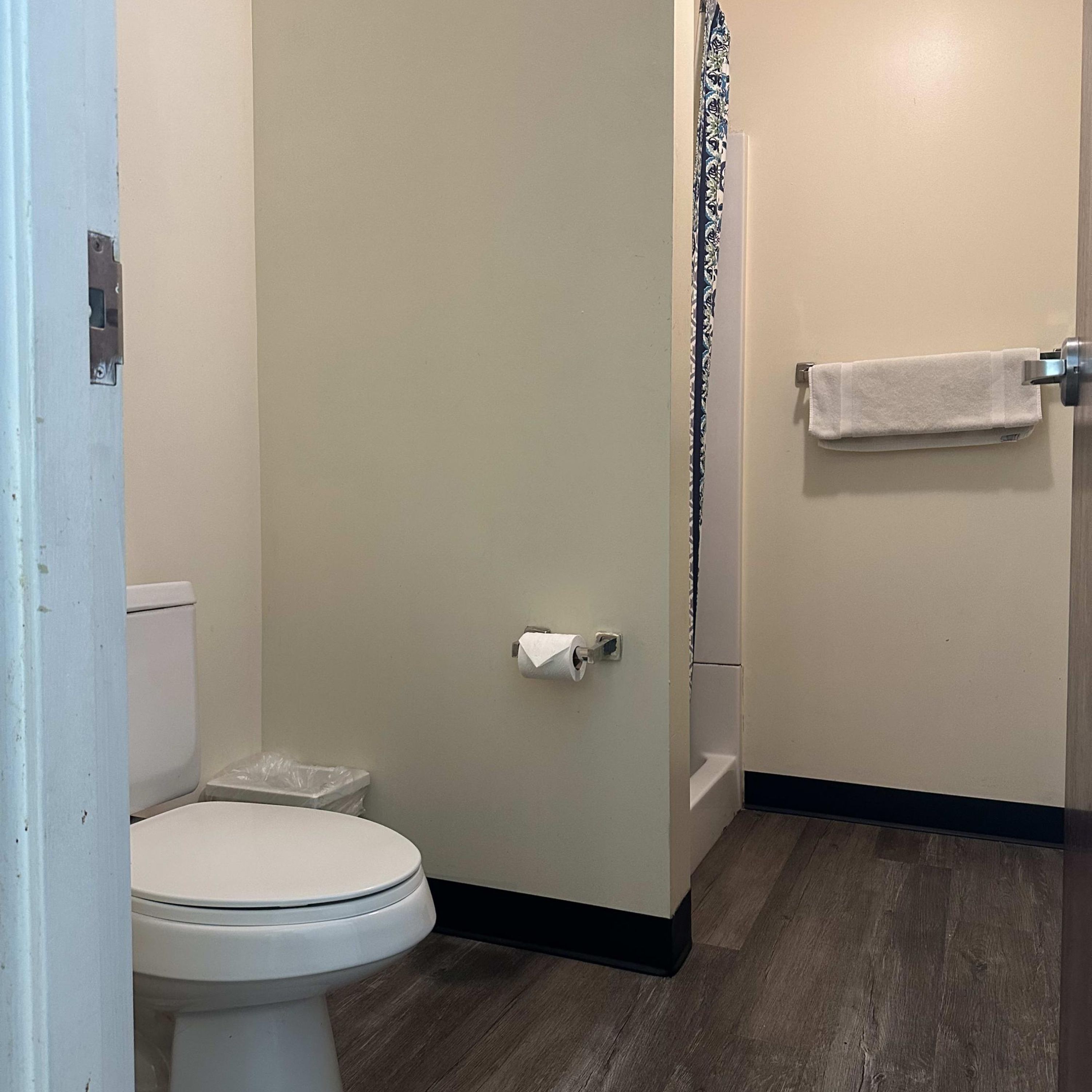 Een badkamer met een toilet, een rol toiletpapier, een handdoekrek met een handdoek en een douchegordijn.