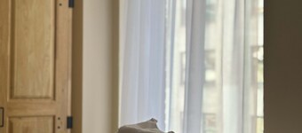 2 Bedroom 2 Bath Downtown Sleeps Six Walkable