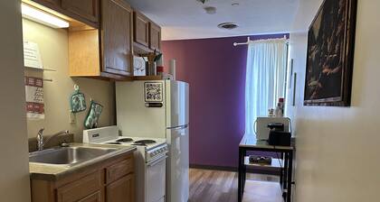 Downtown Apt Walk to PPG Conv Center More