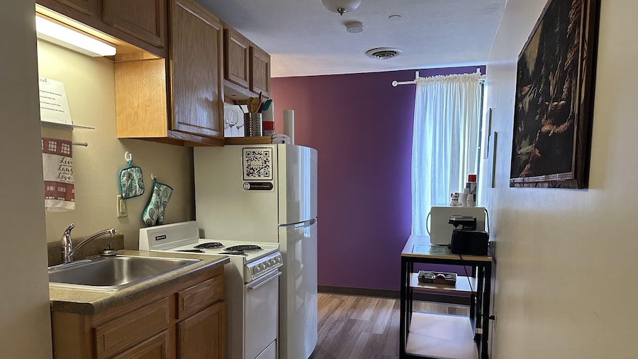 Downtown Apt Walk to PPG Conv Center More