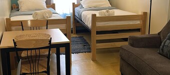 Cozy Convenient Downtown Apt Walk Everywhere